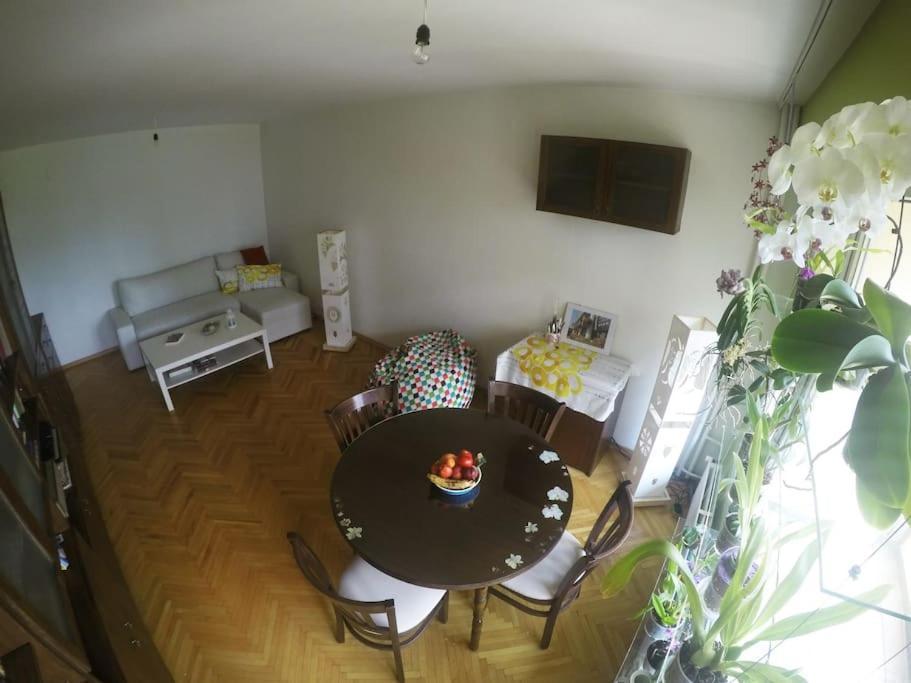 Beautiful Flat In Central Location By Flat Mаnager Sofia Exterior foto